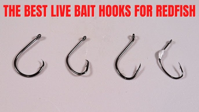The Best 5 Hooks For Live Bait (And When to Use Them!) 