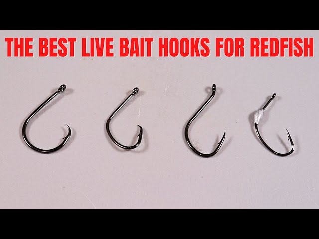 The Best Live Bait Hooks For Catching Redfish 