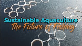 Sustainable Aquaculture: The Future of Fishing