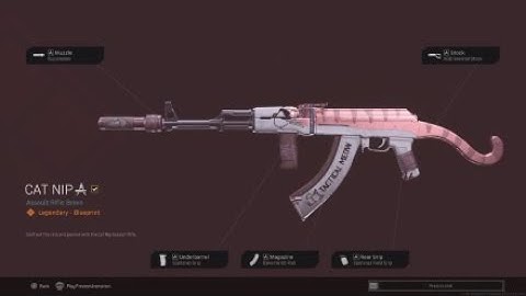 Cat Nip Legendary CW AK47 Blueprint | payload WIN