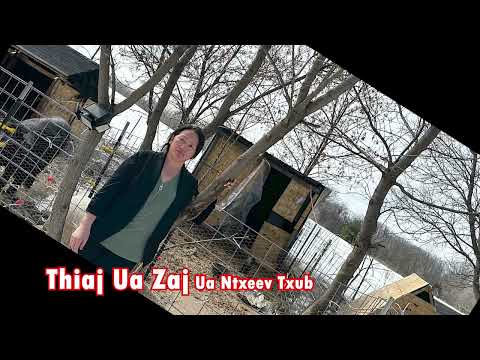 Video: Jersey nyuj: tshuaj xyuas, yam ntxwv