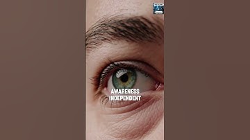 Simulation Theory and Consciousness