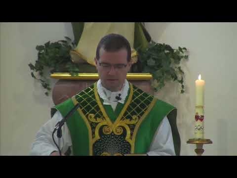 Der Glaube reinigt Herzen und schenkt der Kirche Vitalität