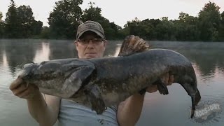 How to Rig Nightcrawlers for Big Catfish