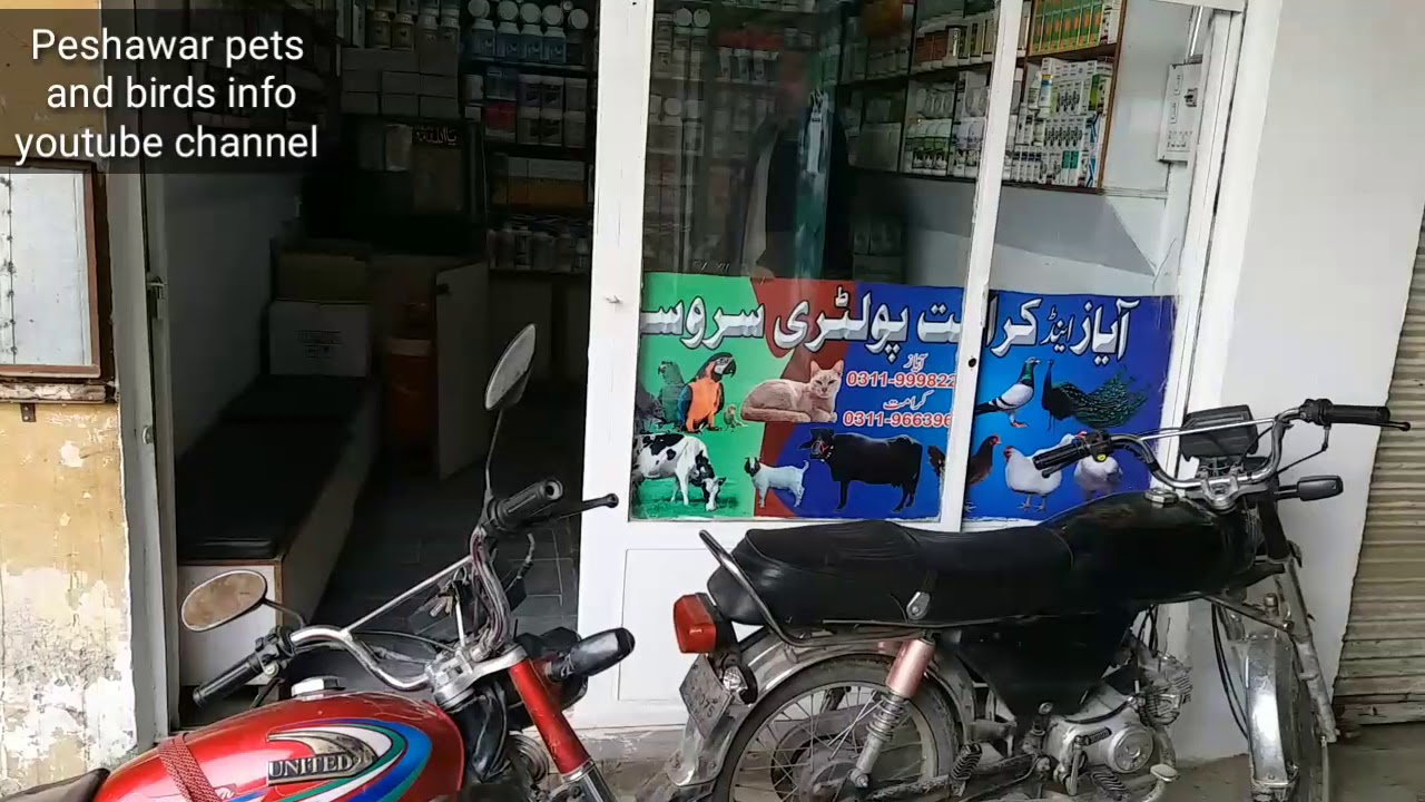 Veterinary medicine store in Peshawar...all pets medicines and vaccines