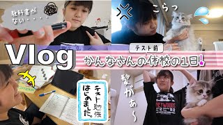 Vlogかんなさん大雨で学校が休みだけどテスト前の1日・・・