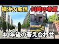 港北NTと新百合ヶ丘 どっちが住みやすい? 80年代の理想郷。その残酷なリアルを比較してみた