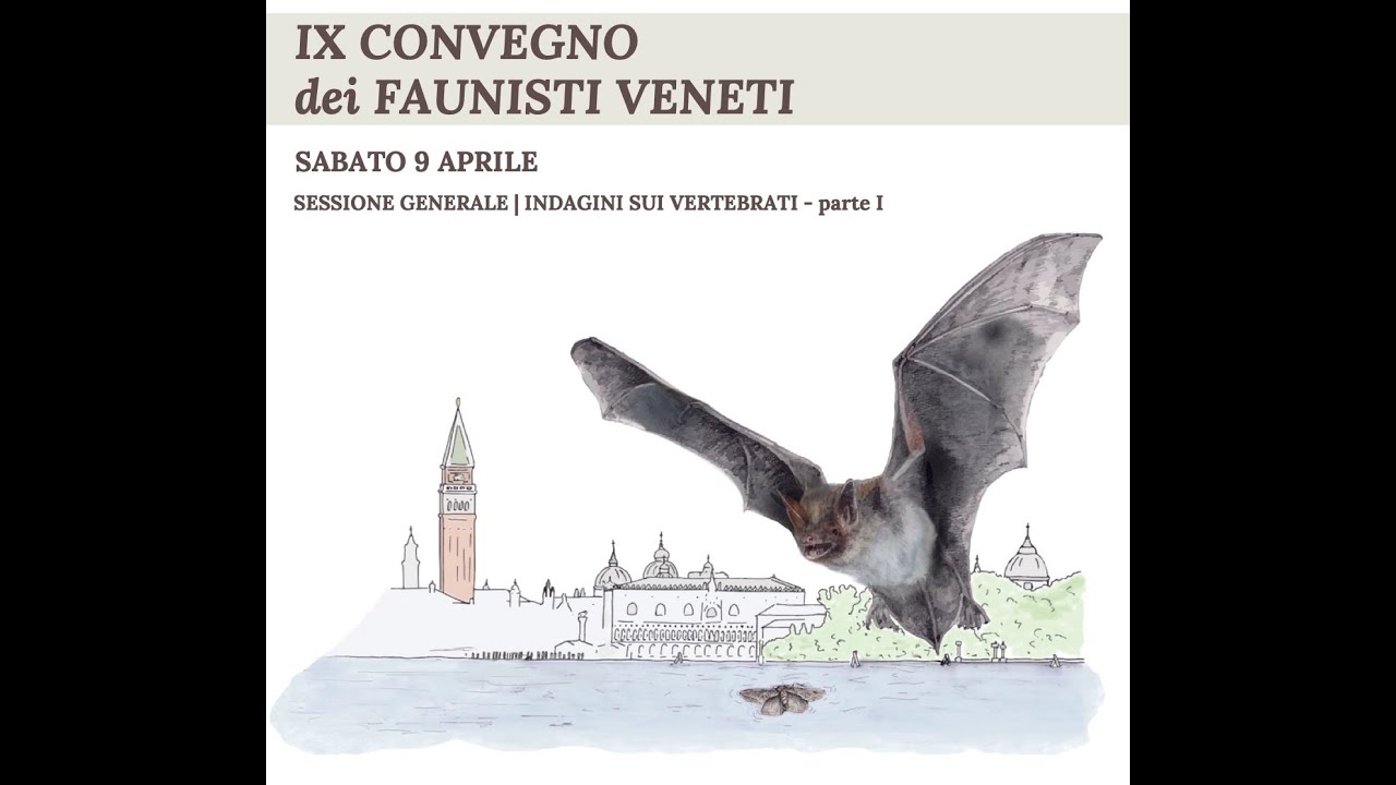 IX Convegno dei Faunisti Veneti. Sessione tematica: indagine sui vertebrati - I parte