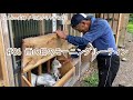 【77歳ヤギ飼い#3】雨の日のモーニングルーティン 「72歳からの楽しいシニアライフ#86」