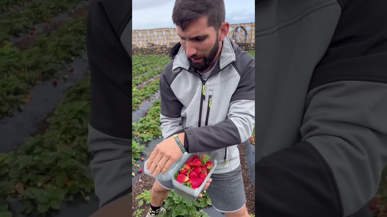 Material de primera fresa 🍓 que bonita 😍 