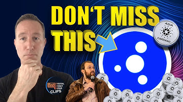 LOOK AT THIS CARDANO LAUNCHPAD FOR THE NEXT BIG ADA PROJECTS (500-1000X GAINS) w/ @Hashoshi4