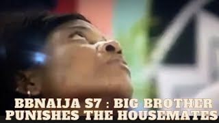 Bbnaijas7 All Housemates Up For Eviction