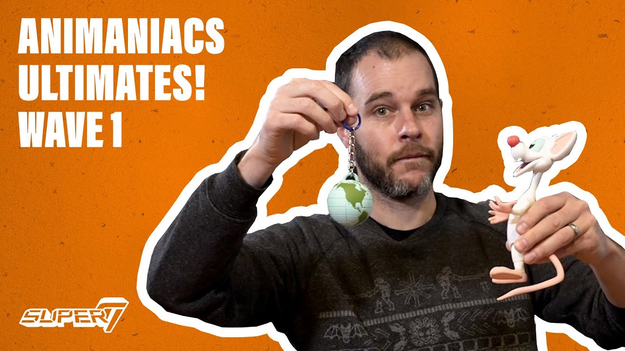 Animaniacs ULTIMATES! Wave 1 Figures by Super7