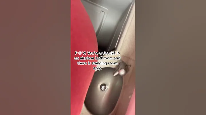 Plus size traveler can barely fit in airplane bathroom