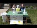 how to run your own lemonade stand
