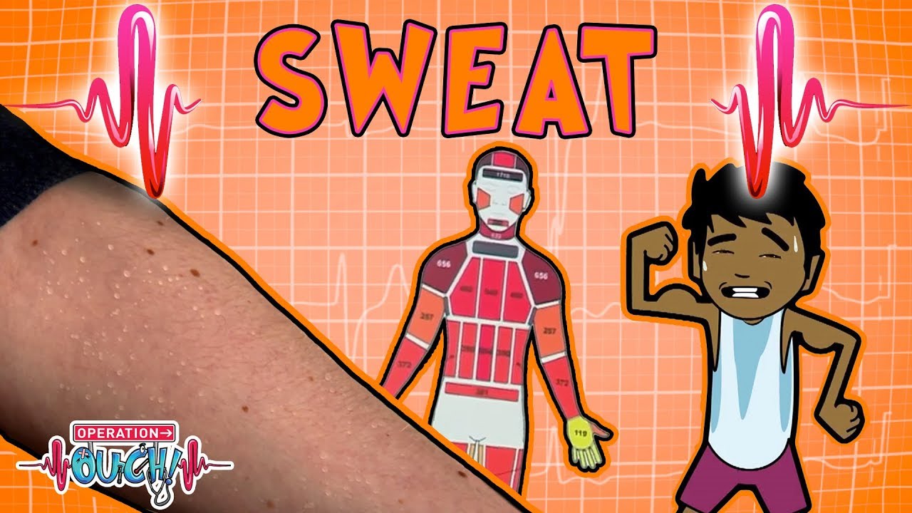 Science for kids | SMELLY SWEAT | Experiments for kids | Operation Ouch