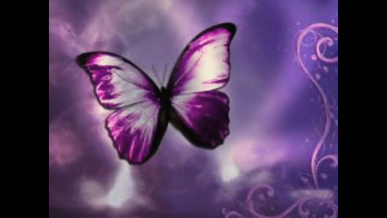 What Is The Purple Butterfly Meme Mean Purple butterfly meme meaning in desc TRIGGER WARNING - YouTube