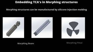 Morphing structures using bio-mimetic soft actuators screenshot 3
