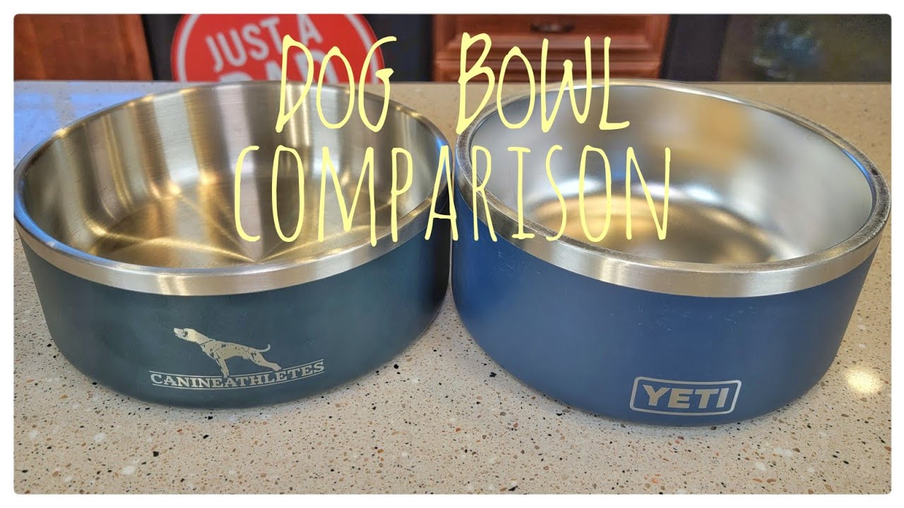 Is the Yeti Dog Bowl Worth the Price? Honest Review!