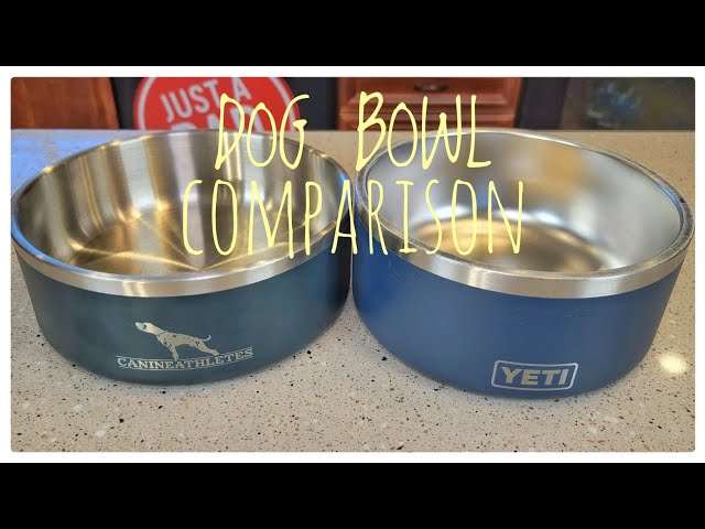 Is the Yeti Dog Bowl Worth the Price? Honest Review!