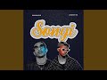 Songi 