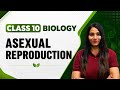 Reproduction Chapter: Asexual Reproduction Complete Lecture | Class 10