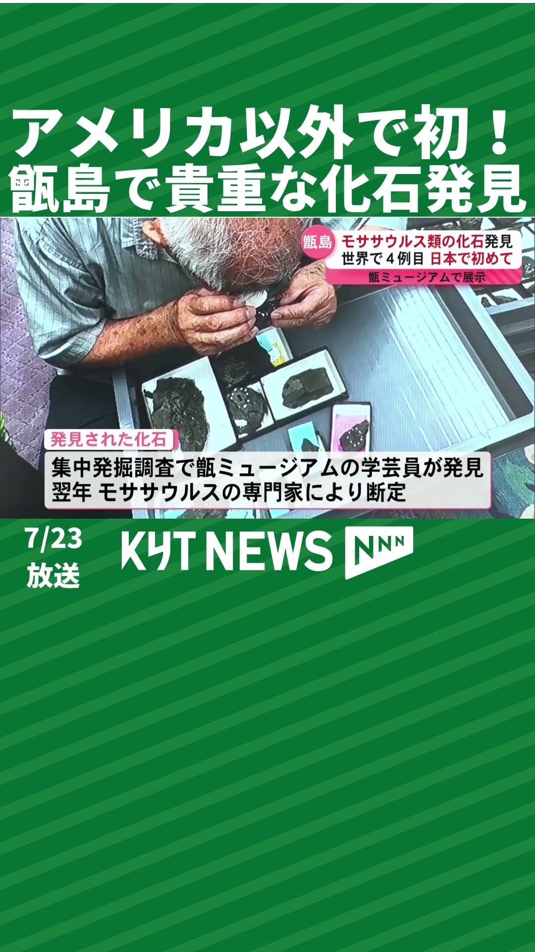 瀬戸内海　引き上げ　化石 A first outside of the United States! Rare fossils