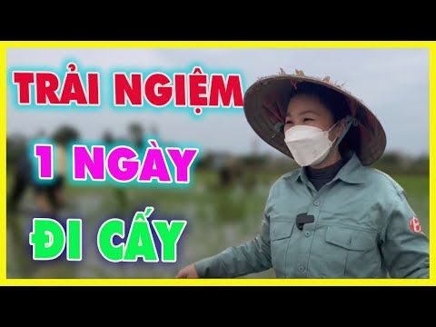 Video Cô Gái Châu Phi || Trải Nghiệm 1 Ngày Đi Cấy | Cuộc... - youtube