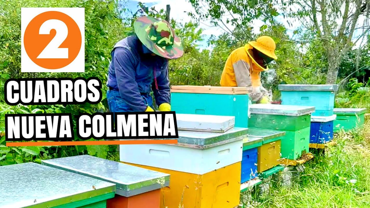 Duplica o Triplica tus colmenas usando 2 cuadros