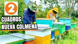 Duplica o Triplica tus colmenas usando 2 cuadros