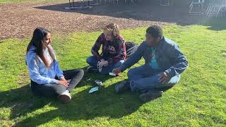 Meet the NSO Interns 2022