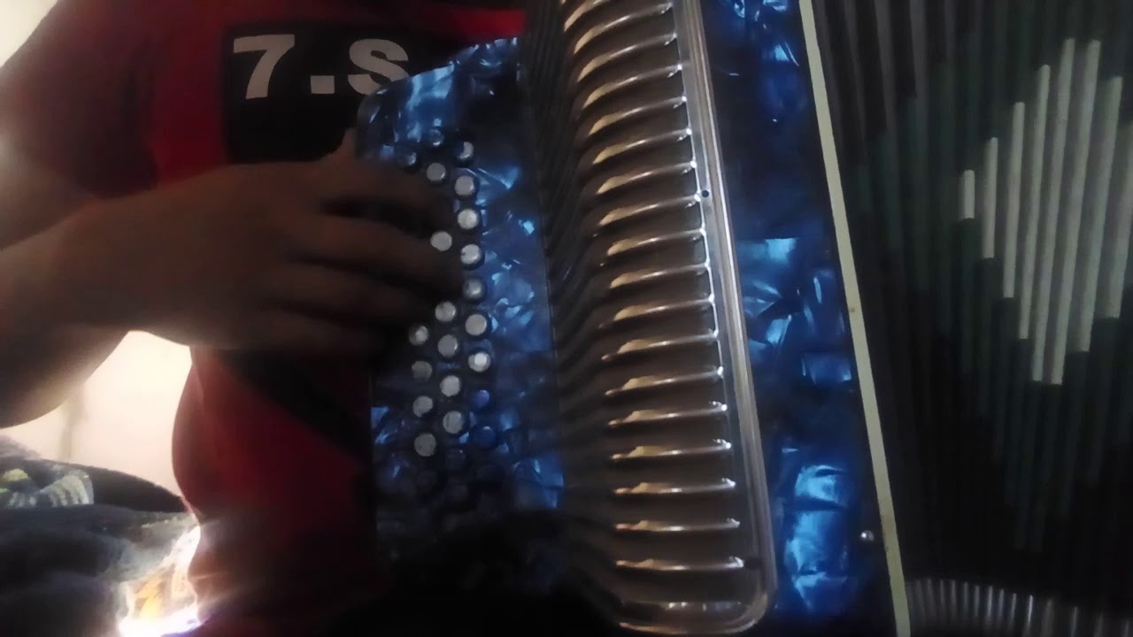 falsos amigos alegres del barranco en acordeon de sol tono de sol YouTube