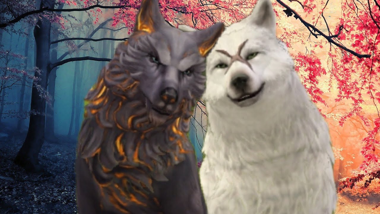 FriendShip - wildcraft story 🐈‍⬛