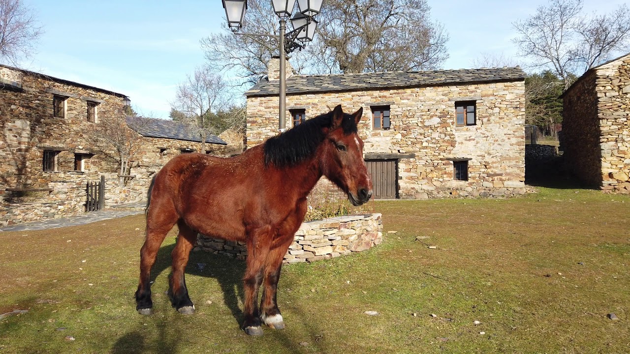 Umbralejo Guadalajara
