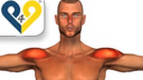 Dumbbell Lateral Raise exercise