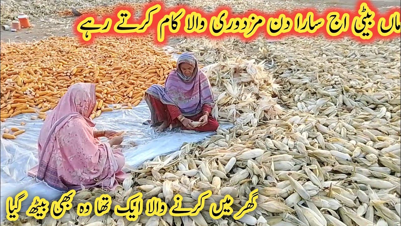 Man beti aaj Sara din majduri wala kam Kiya ghar mein karne wala ek tha vah bhi baith Gaya