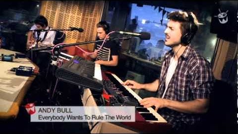 AndyBull - Everybody Wants ToRule TheWorld