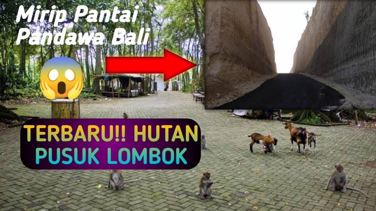 JALAN PUSUK LOMBOK UTARA TERBARU | SEMAKIN DI PERCANTIK!!
