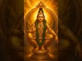 #Ayyappa #SaranamAyyappa #SwamiyeSaranam#MandalaPooja #AyyappaBhakti#AyyappaShorts #DevotionalShorts