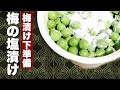 梅漬け下準備【塩漬けの方法】コツも解説‼　⏰　塩漬け出来上りまで3日