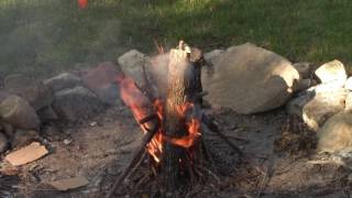FireSmart Demonstration