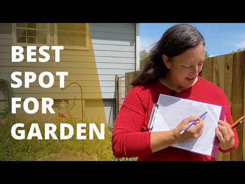 Choosing the Best Location for Your Garden