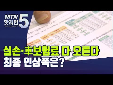 실손·車보험료 다 오른다...최종 인상폭은? / 머니투데이방송 (뉴스)