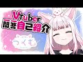 【 自己紹介 】\#vtuber一問一答自己紹介 【 つくも / 新人Vtuber 】