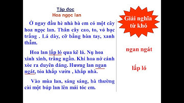 Tiếng Việt Lớp 1  Tuần 27  Bài Hoa ngọc lan