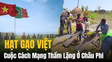 GẠO VIỆT NAM CUỘC CÁCH MẠNG THẦM LẶNG Ở CHÂU PHI- Philippines & Indonesia tiếc nuối