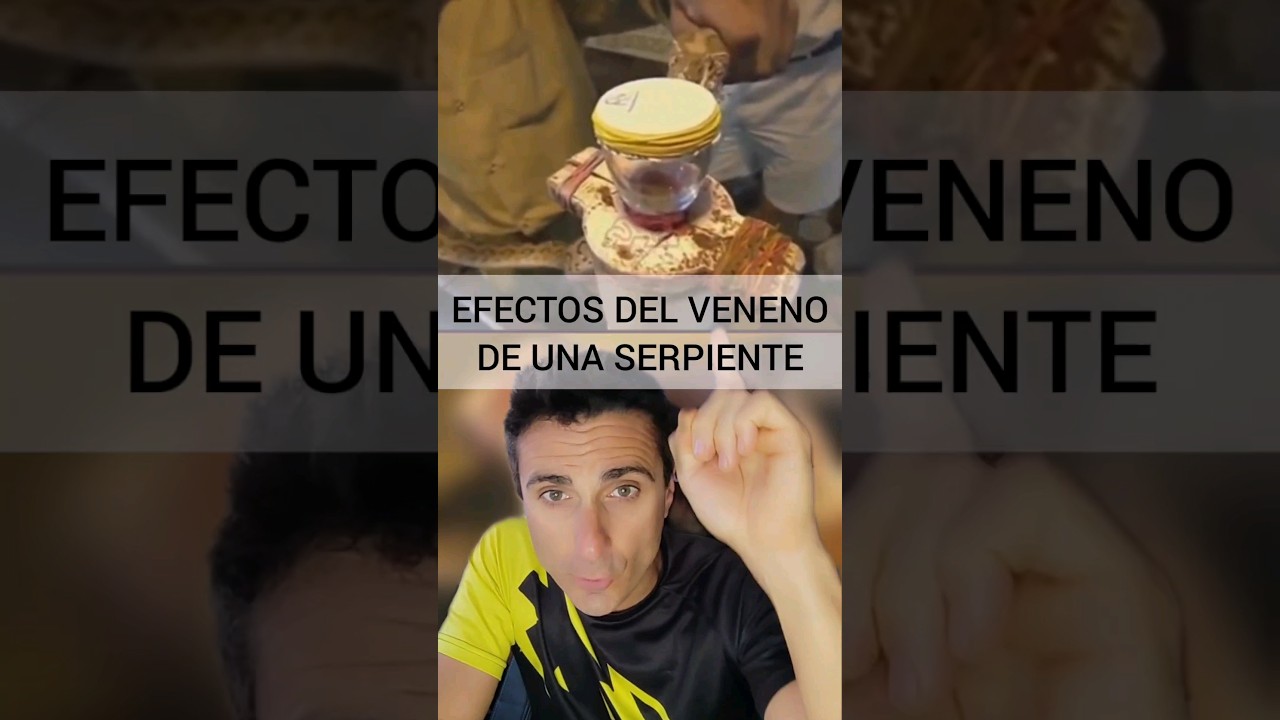Efectos del VENENO de una serpiente.