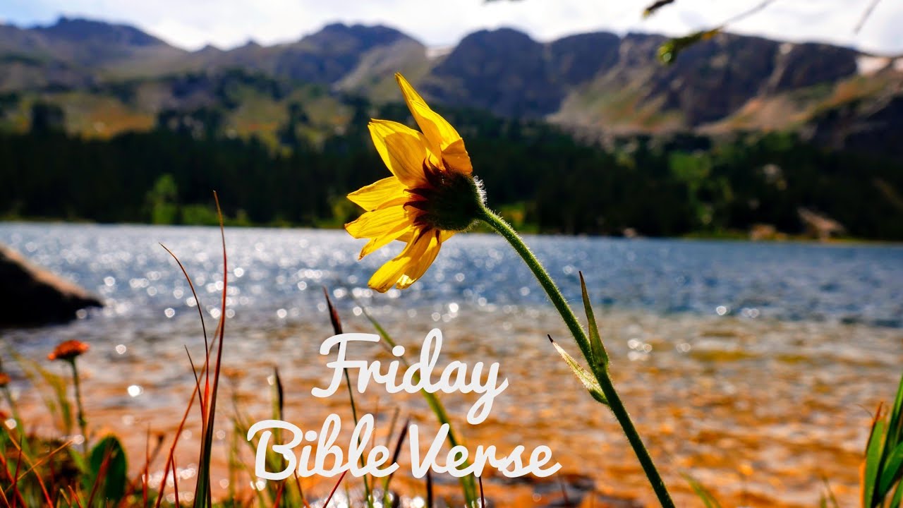 bible verse for today january 5 2022 bible verse for today january 5 2022