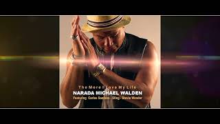 Narada Michael Walden feat. Carlos Santana, Sting, Stevie Wonder &quot;The More I Love my Life&quot;  TEASER