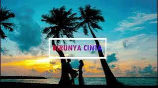 BIRUNYA CINTA | cover lirik dangdut duet